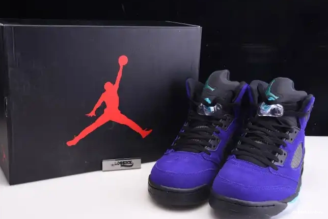 Alternate Jordan 5 Air 136027-500 Grape Retro 0606